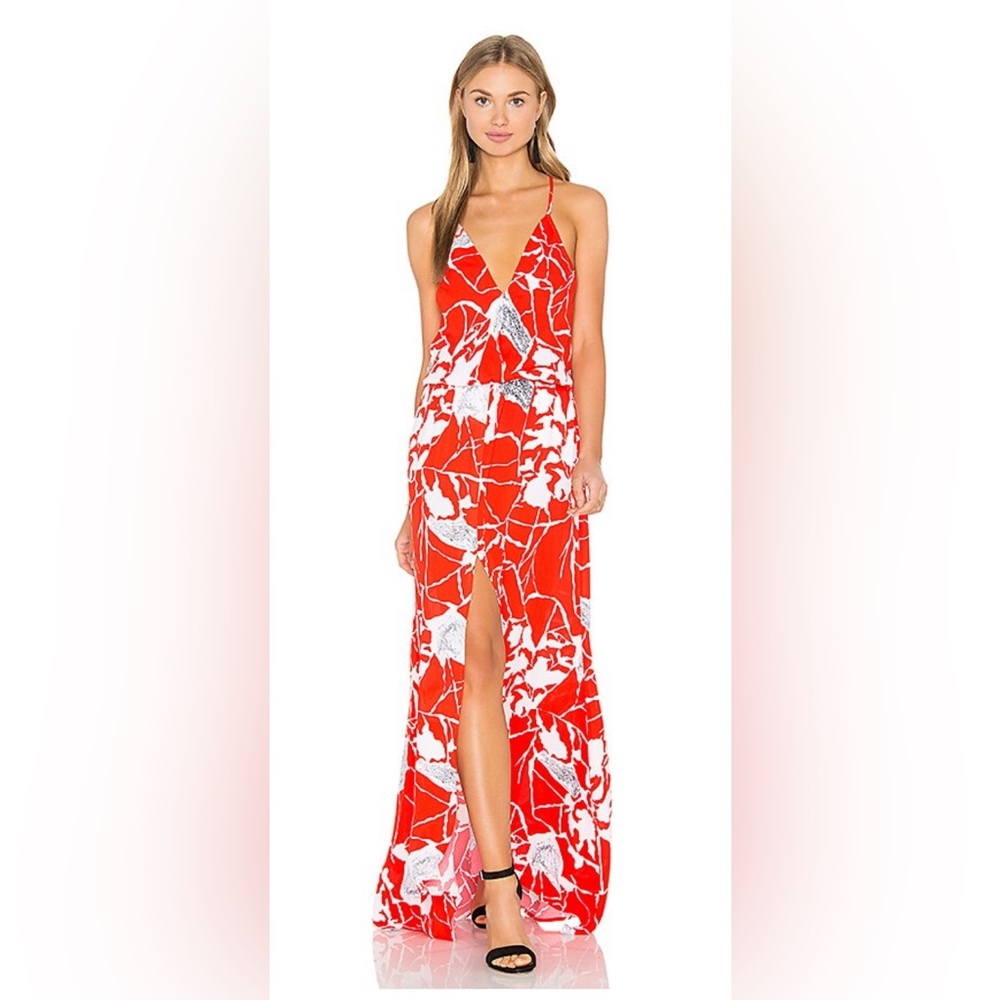 Karina Grimaldi Draco Print Maxi Dress